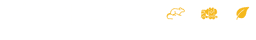 Maverick Logo